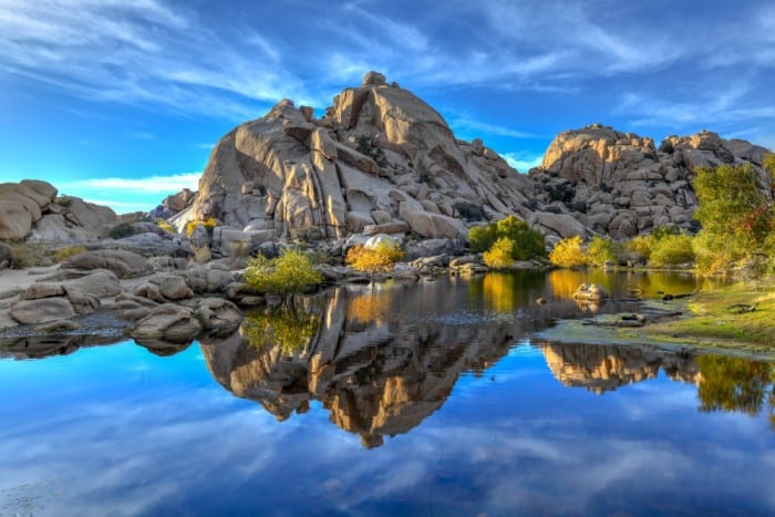 Hummer Tour of Joshua Tree