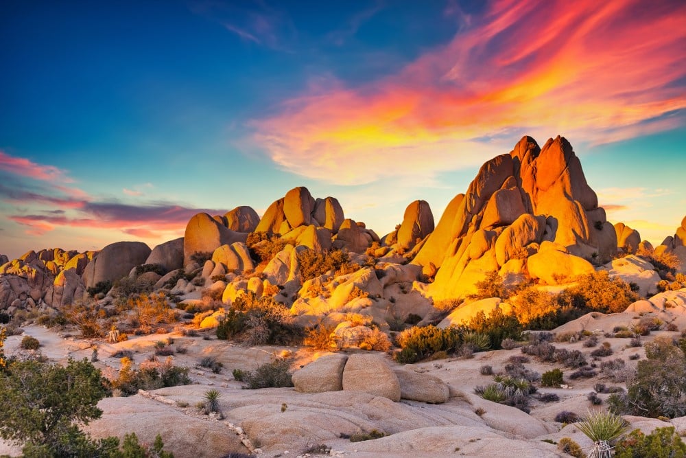 Joshua Tree National Park