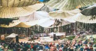 Jazz In The Pines