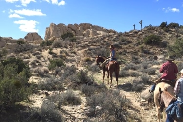 palm springs horseback riding tours