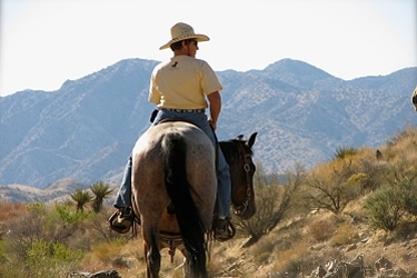 coyote ridge stable