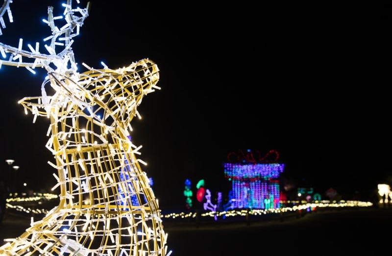 WildLights Holiday Festival at The Living Desert