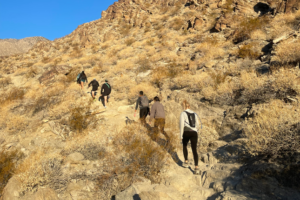 TAKE A HIKE – WITH PURPOSE