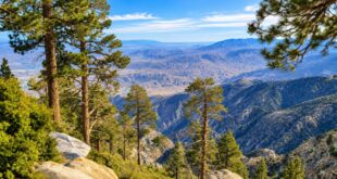 Hiking In Palm Springs