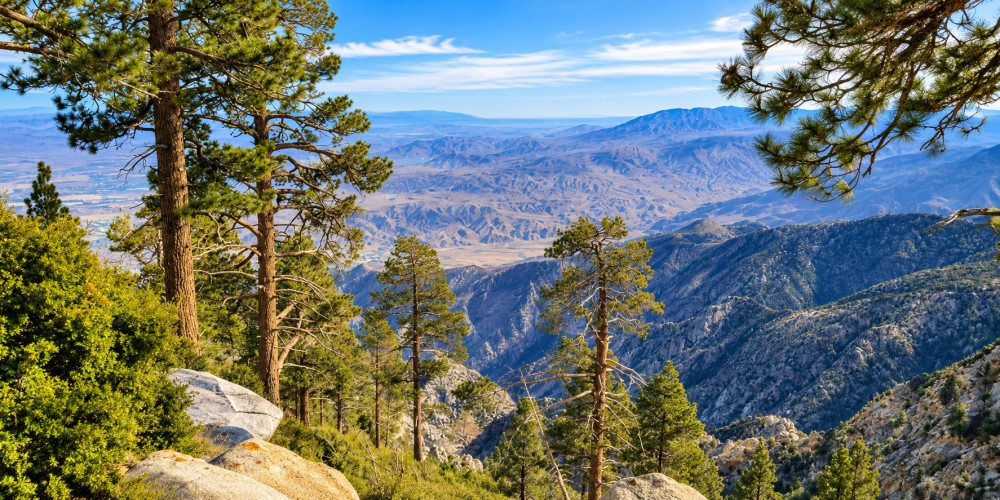 Top 5 Hiking Trails in Palm Springs