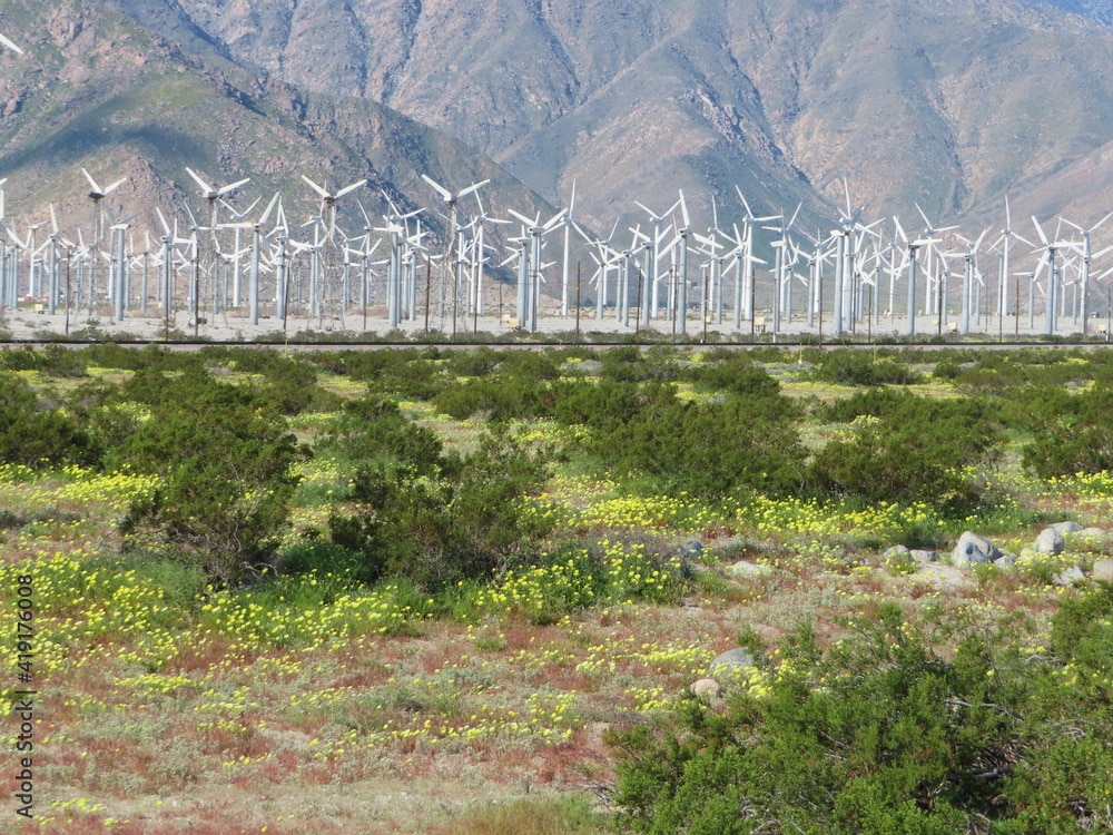 Desert Hot Springs Demographics Palm Springs