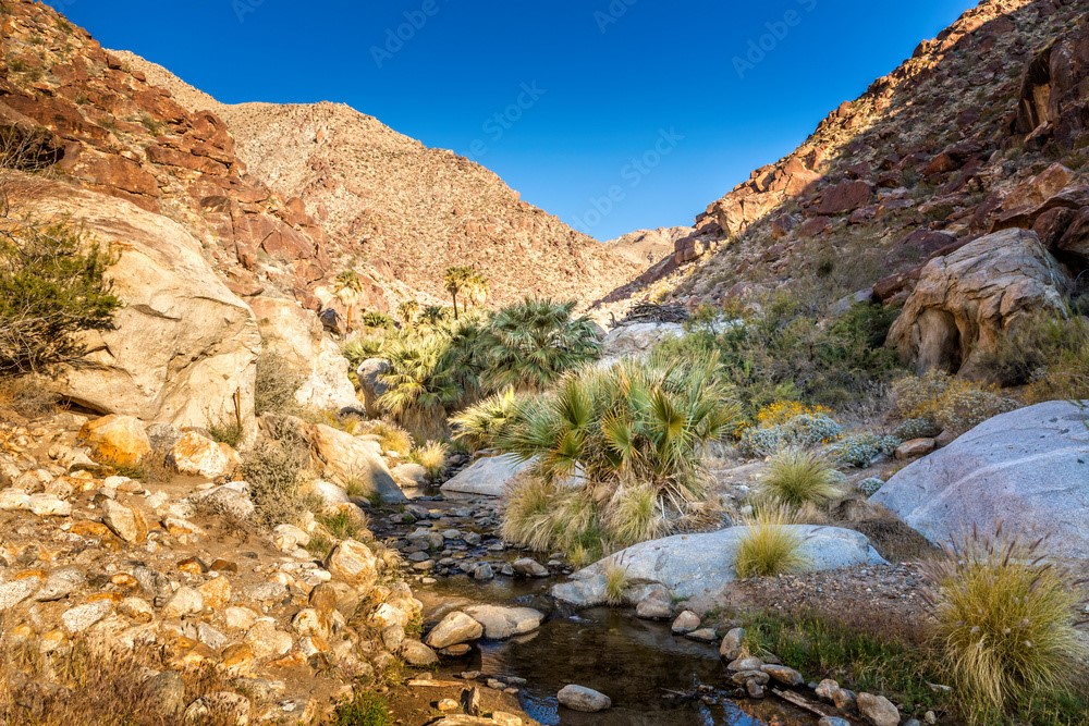 La Quinta Demographics