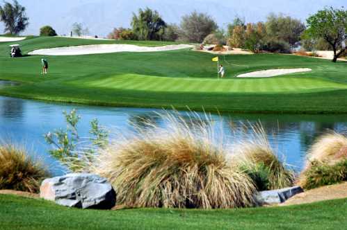 Palm Springs Demographics